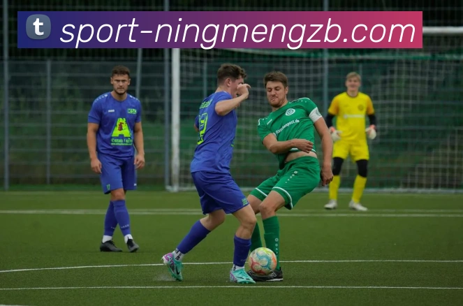 App Interface Preview